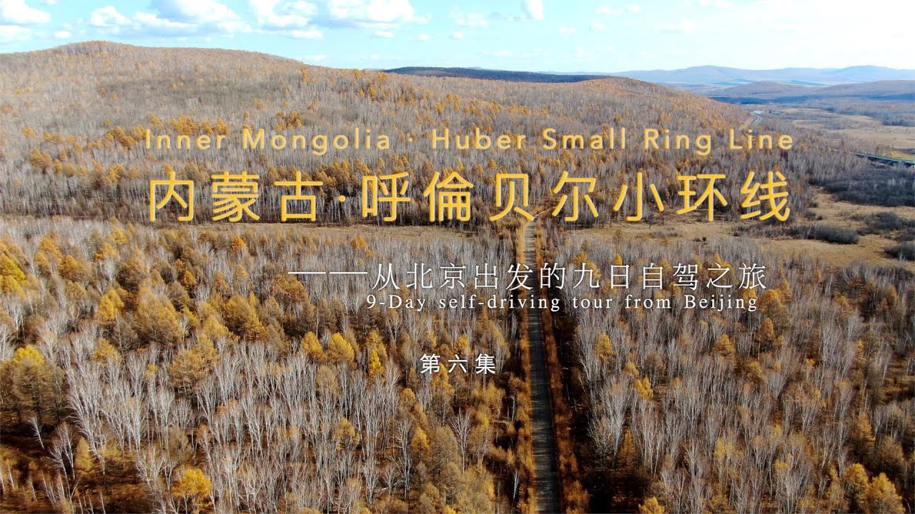 北京自驾呼伦贝尔6:在大兴安岭，我遇见了呼伦贝尔最美的秋天