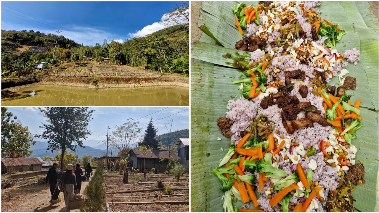 Sunday Picnic at the farm | Satsuphen Wokha Nagaland 