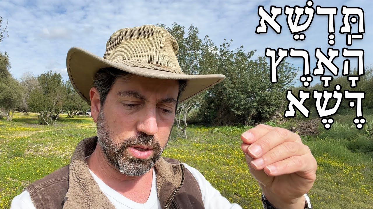 לא אמרתי לא לכסח את העשבים