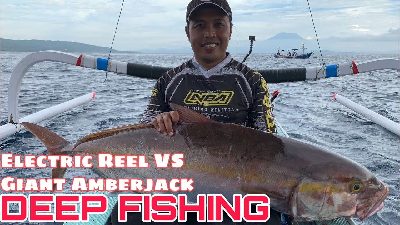 GIANT AMBERJACK 29.6KG DEFEATED BY SHIMANO BEAST MASTER 6000