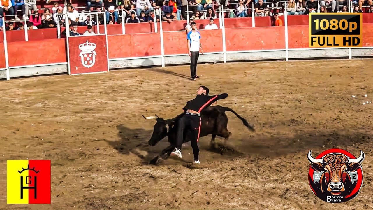 Quinto. Suelta de Vacas en Plaza | 21/04/2025 | Ganad. Giménez Claveria