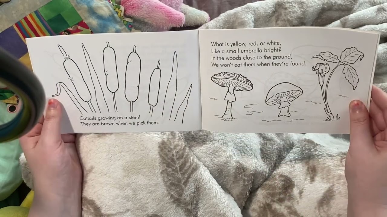 What Is It? 