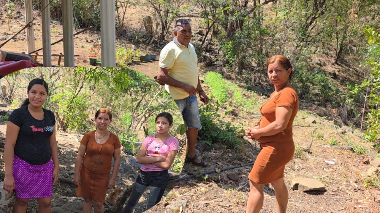 Niña Mariana nos cuenta como cultivar su frijolera en pleno verano 🫘🙏😯 