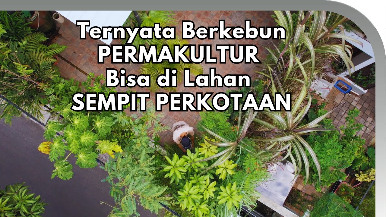 Berkebun Permakultur di Lahan Sempit - Kebun Yogi