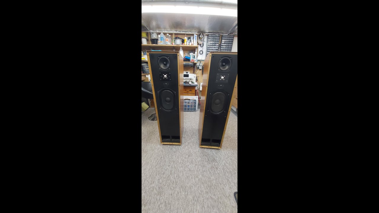 Студийные мониторные динамики TDL — Часть 1