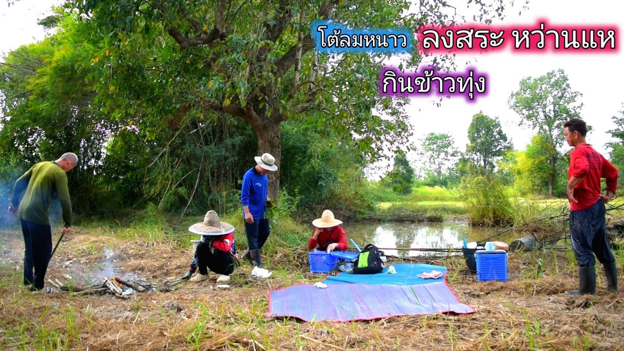 กินข้าวทุ่ง ลงสระ หว่านแหจับปลา กินก้อยปลา ต้มปลาใส่มดแดงสุดแซ่บ