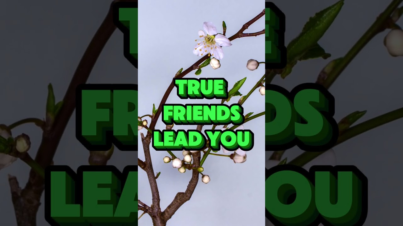 Buddha’s Warning About Friends (Most People Ignore This)