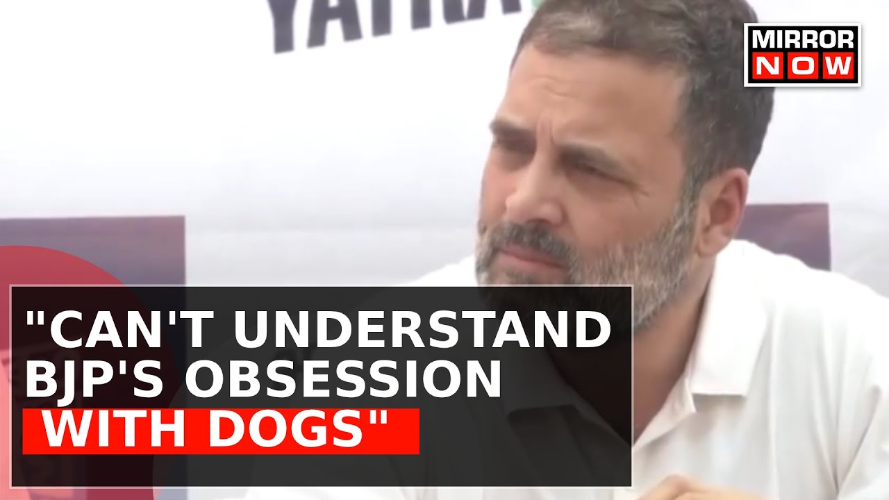 'Why BJP Is Obsessed With Dogs?' Rahul Gandhi Reacts On The Dog Viral Video | Congress Nyay Yatra