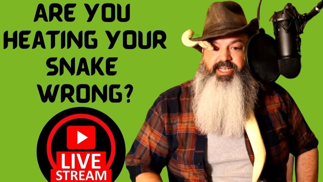 Snakes & Scotch LIVESTREAM: Are you heating your snake wrong?