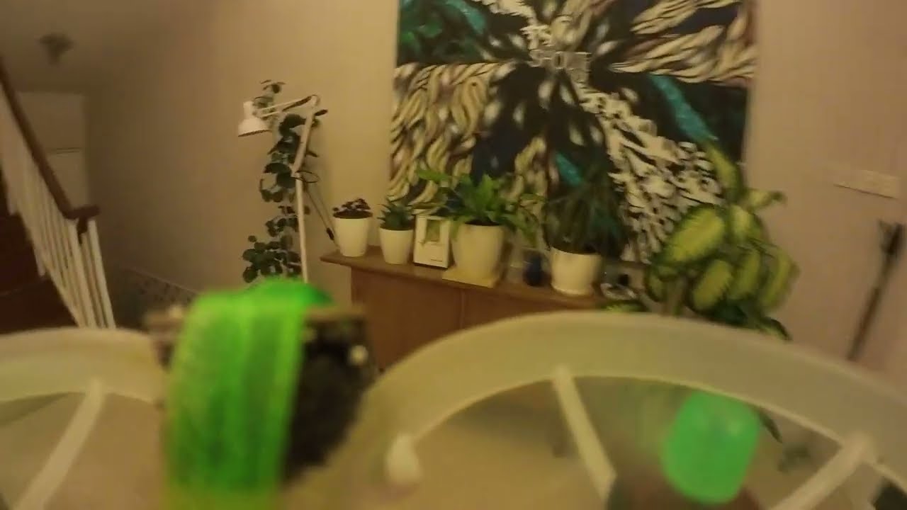 Moblite 7 3rd person view - @insta360 go2