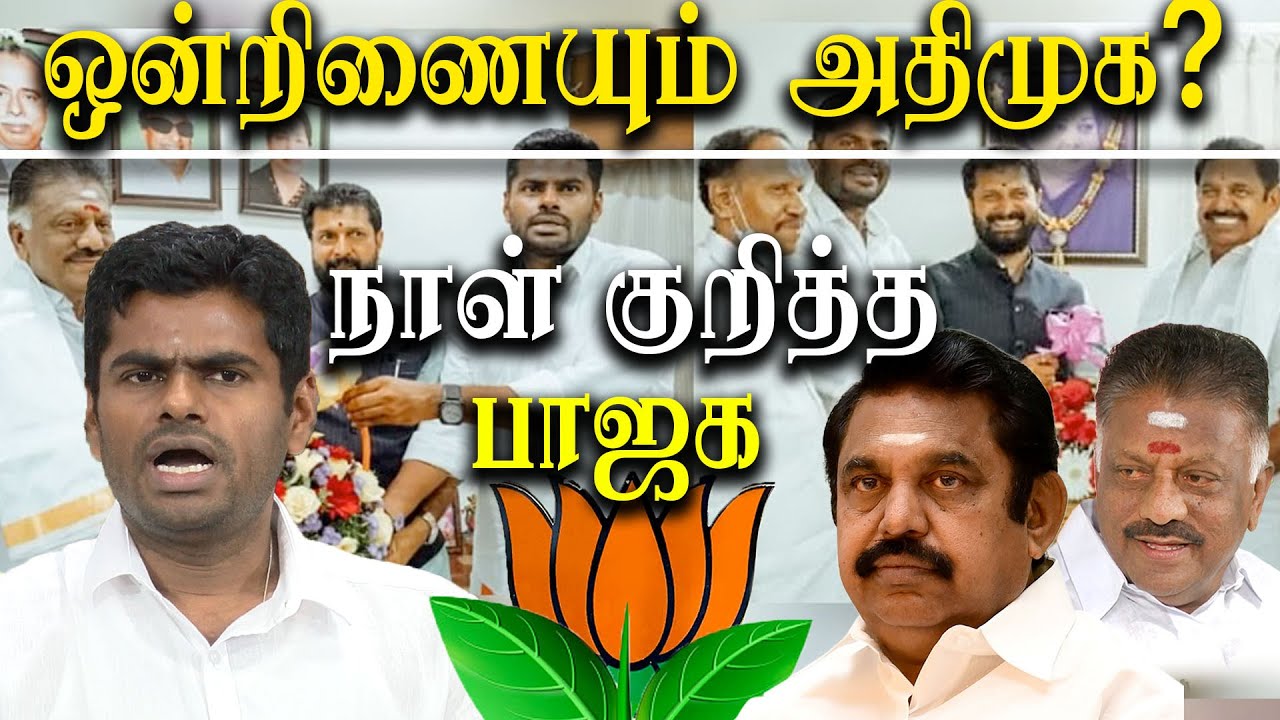 Erode East By Election 2023 - Bjp K Annamalai CT Ravi meets O Panneerselvam Edappadi K Palaniswami