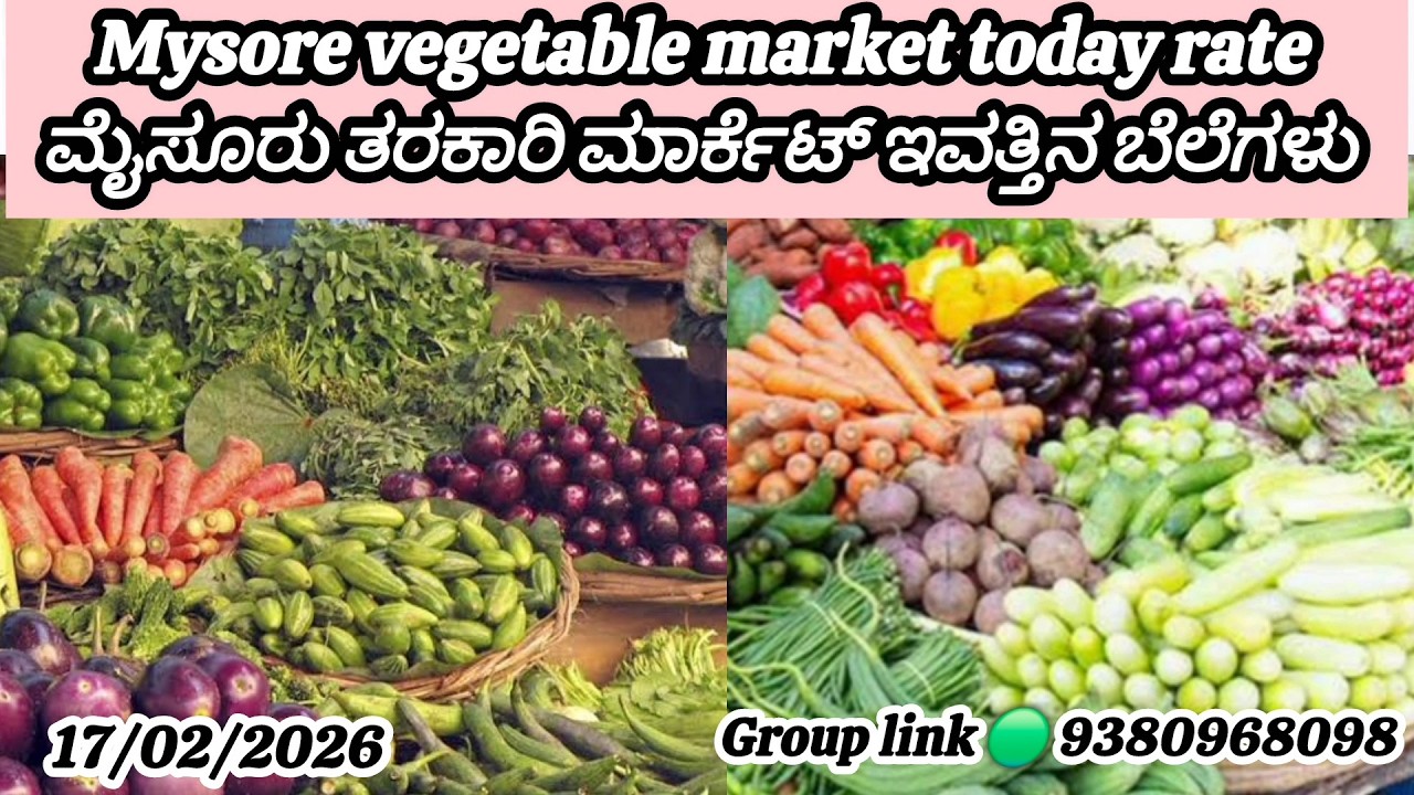 || Mysore tarkari market today rate.? 17/02/2025 ಮೈಸೂರ್ ತರಕಾರಿ ಮಾರ್ಕೆಟ್ ಇವತ್ತಿನ ಬೆಲೆಗಳು.?
