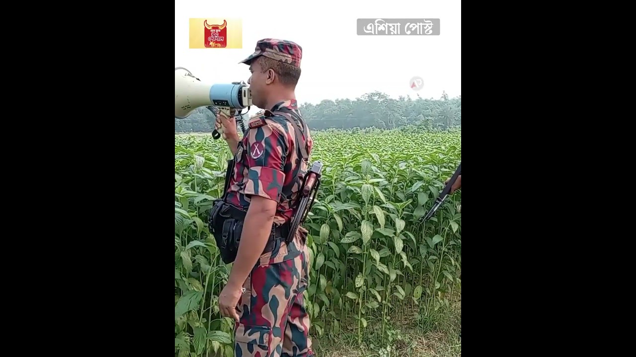 &lsquo;হুঁশিয়ার সাবধান&rsquo;, মাইক হাতে সীমান্তে বিজিবির হুঙ্কার #bgb #meherpur #bdindiaborder #asiapost