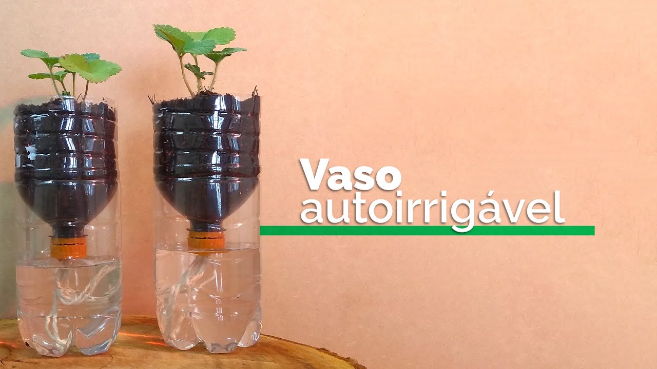 Vaso autoirrigável de garrafa PET