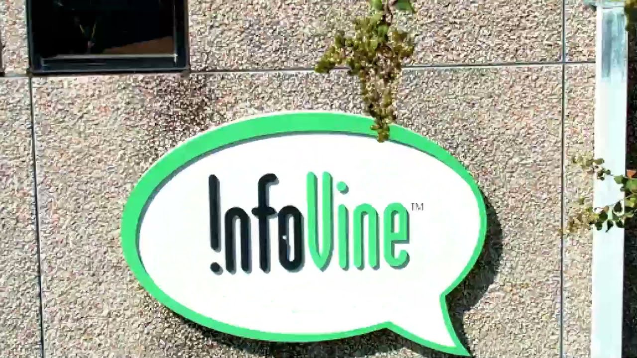 Infovine Drone Flythrough