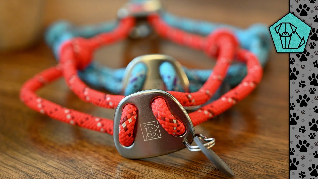 Ruffwear Knot-a-Collar -- A Function & Stylish Dog Collar!