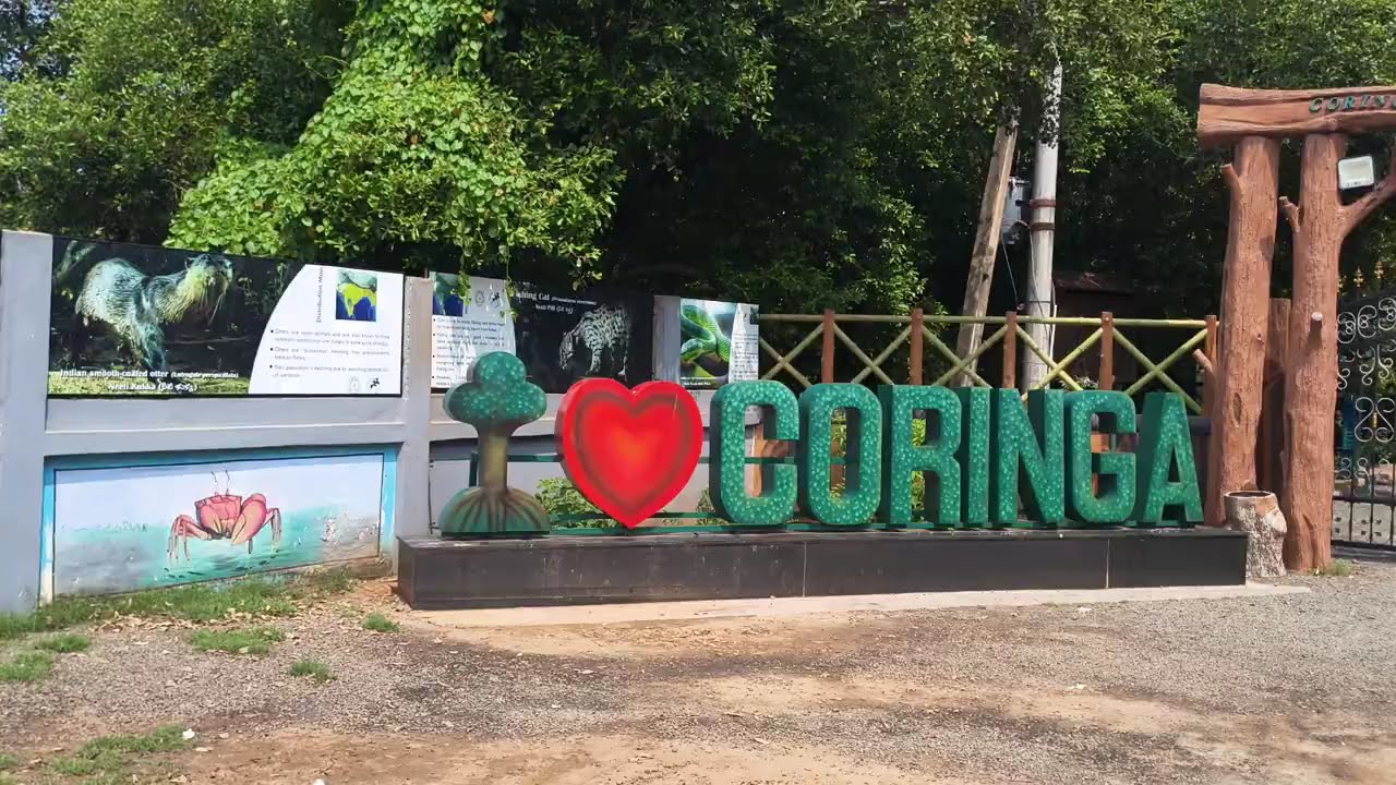 ||Заповедник дикой природы Коринга в Какинаде||дикий лес||лес влюбленных||насладитесь с друзьями|...
