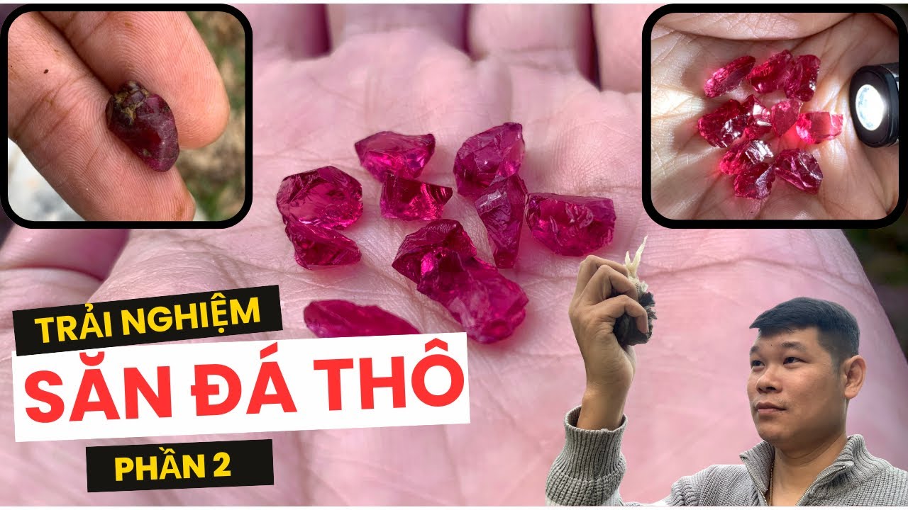 Tập 167: P2. Săn đá thô Bãi Thái