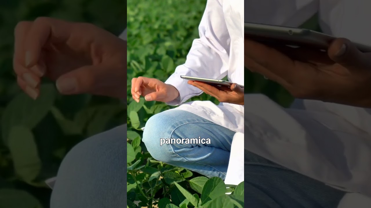 Trattamenti Biologici con il Rame: Guida Completa per la Protezione delle Colture