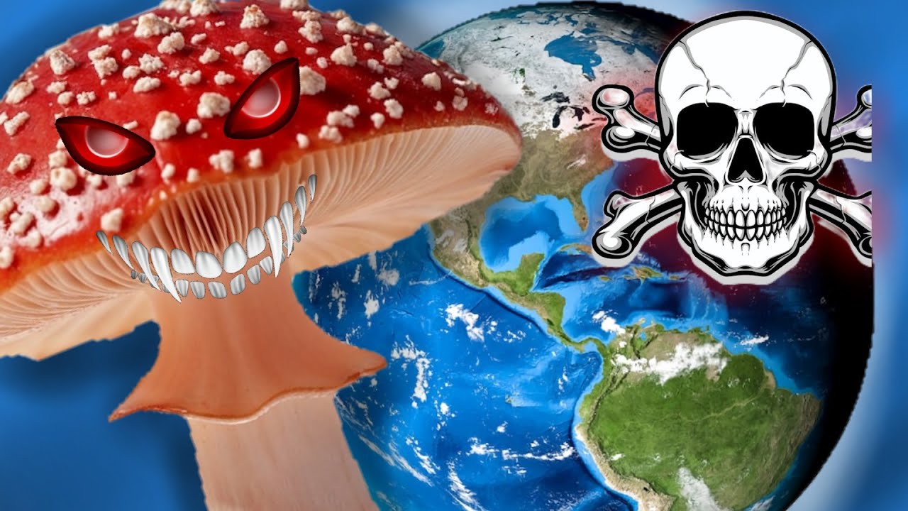 El HONGO mas MORTIFERO del mundo