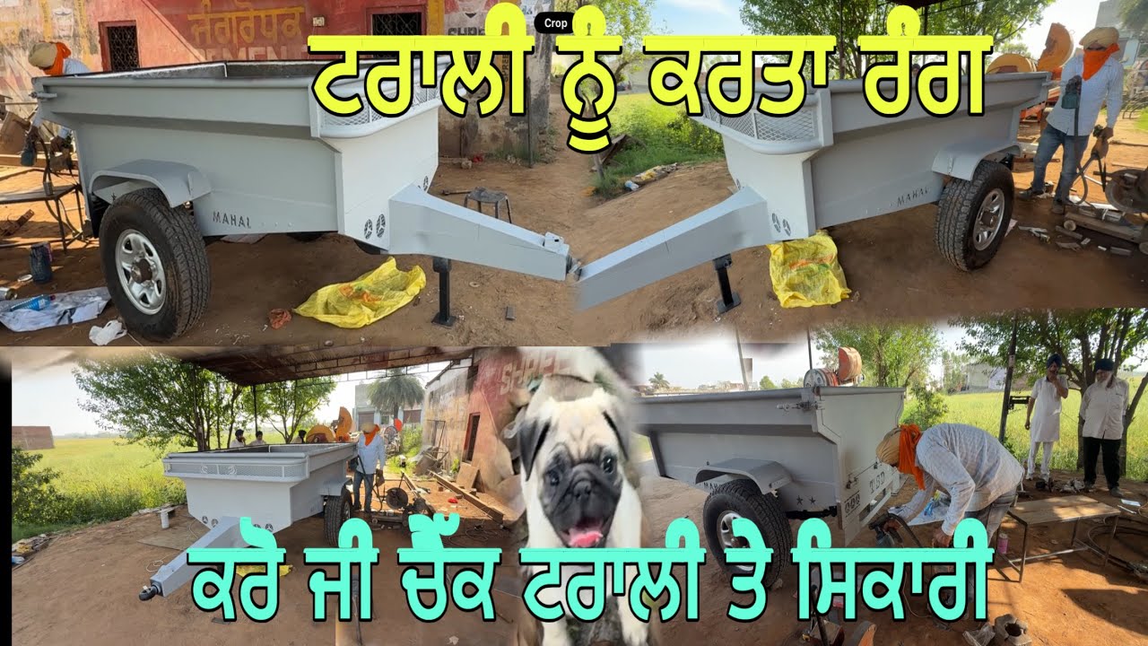 ਰੰਗ ਕਰਕੇ ਟਰਾਲੀ ਬਣ ਗਈ ਬਹੁਤ ਸੋਹਣੀ// ਸ਼ਿਕਾਰੀ ਘੁਮਾਇਆ ਖੇਤਾਂ ਵਿੱਚ ਪਹਿਲੇ ਦਿਨ @jagatmasad 