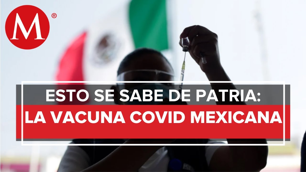 Patria: la primera vacuna anticovid mexicana