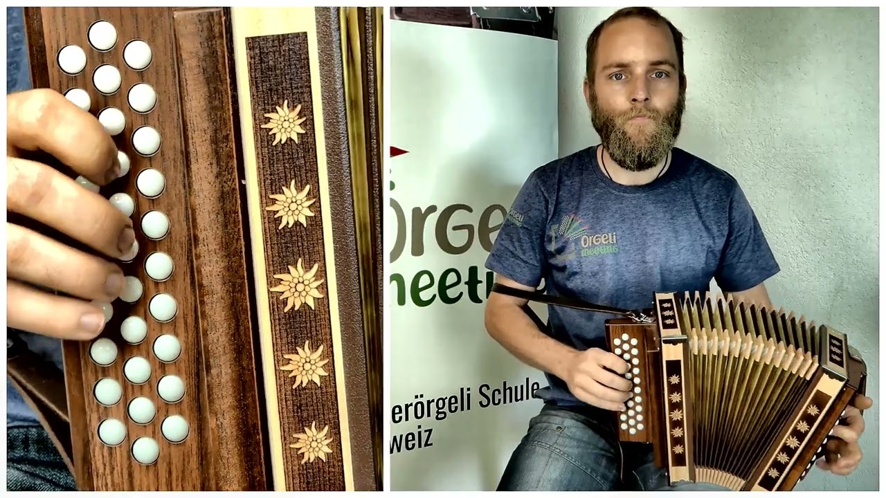 Vogellisi (Schwyzer&ouml;rgeli lernen)