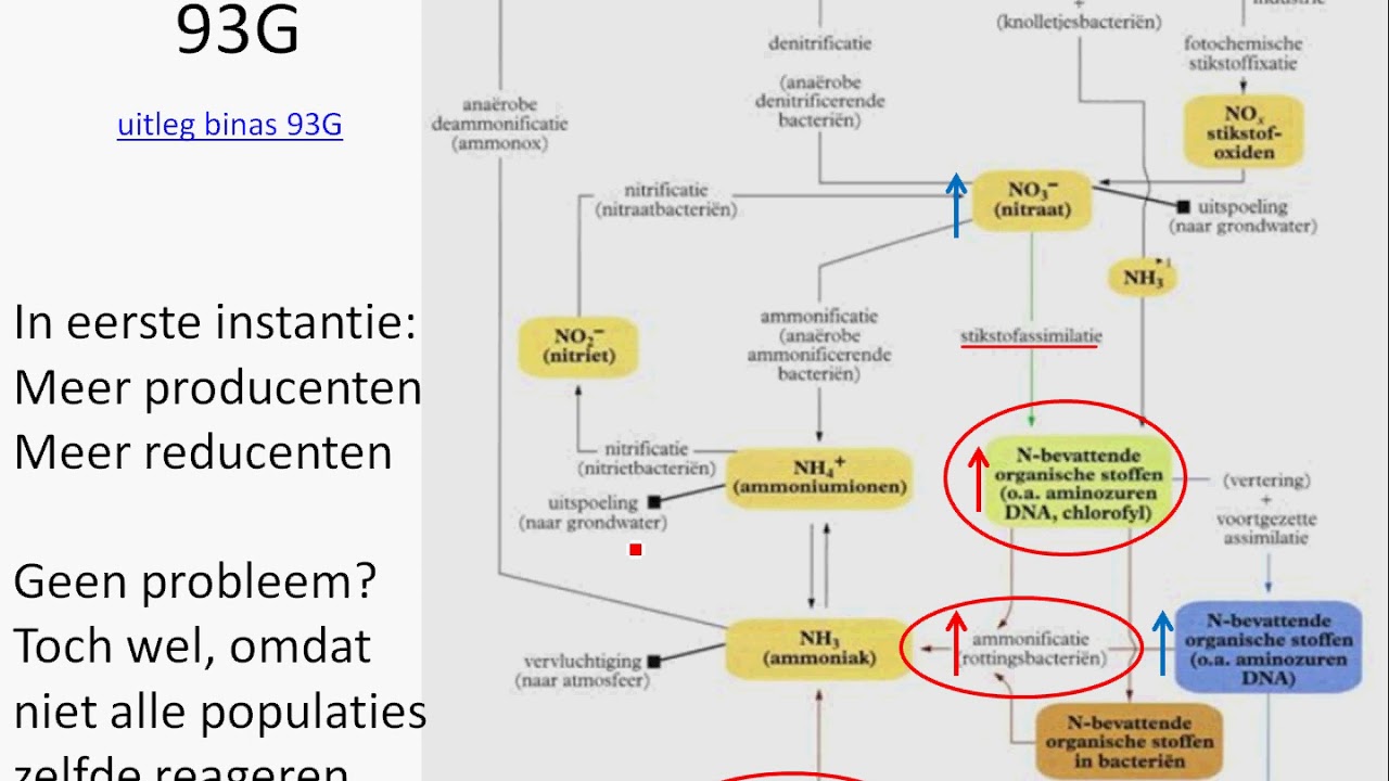 4v ecologie: eutrofiering