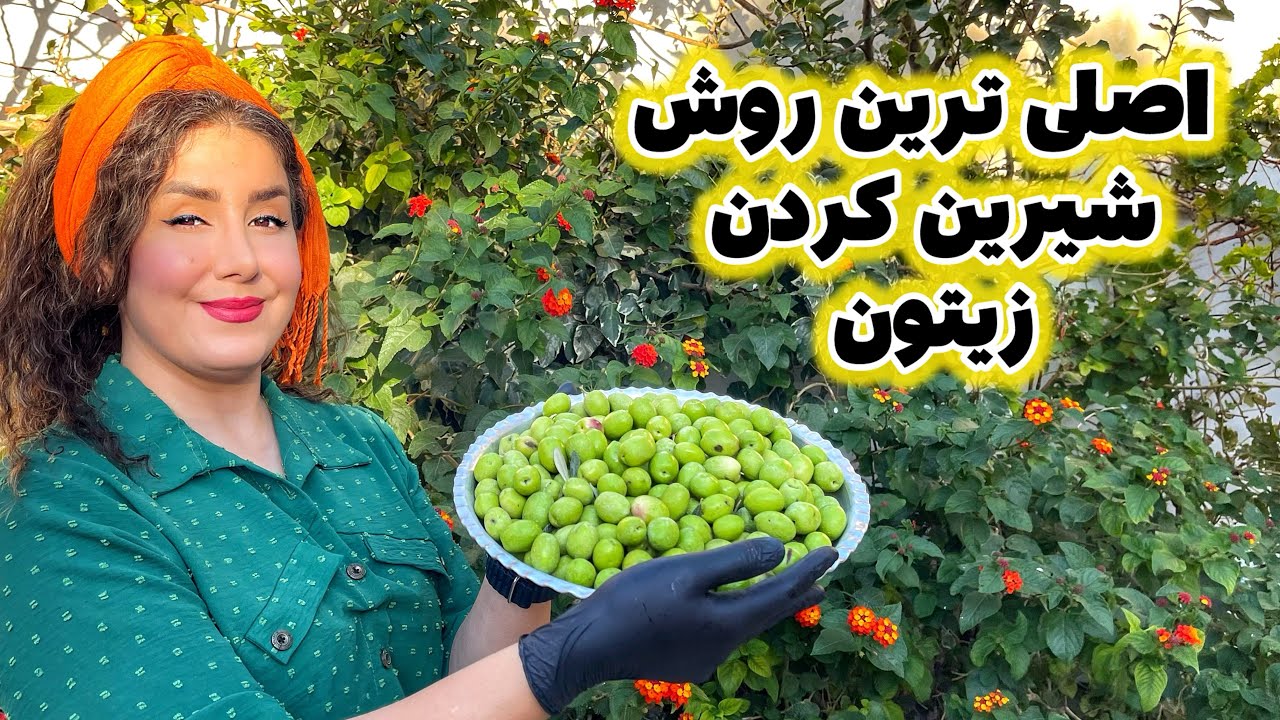 نکات طلایی درمورد شیرین کردن زیتون تو خونه /زیتون از باغ تا سفره 🫒🫒🤌