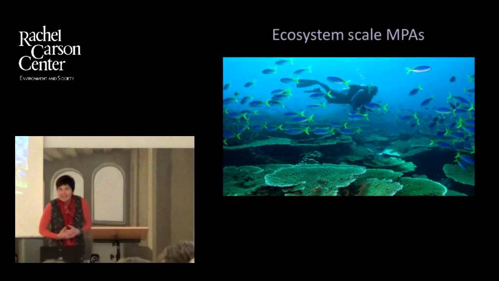 Lunchtime Colloquium: Elin Kelsey