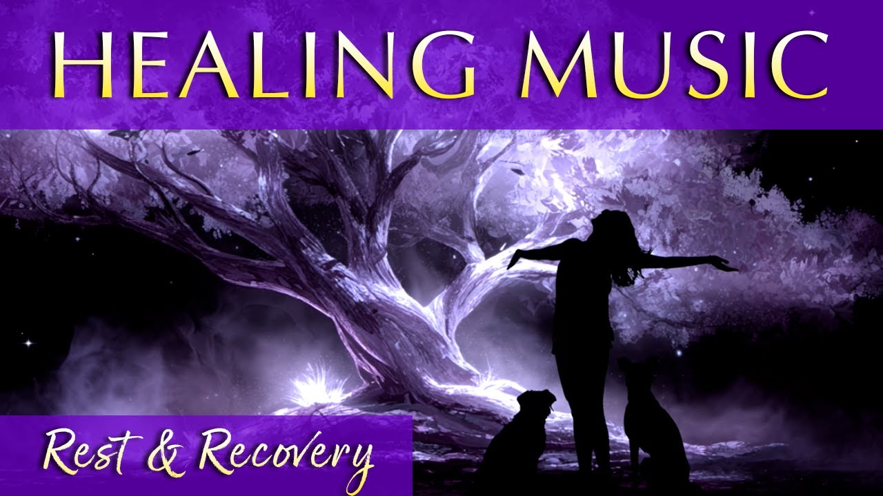 528Hz Healing Music for Dogs&nbsp;&ndash; 10 Hours of Natural Sound Therapy for Rest & Recovery