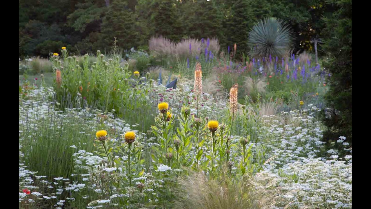 Chanticleer's Gravel Garden with Lisa Roper