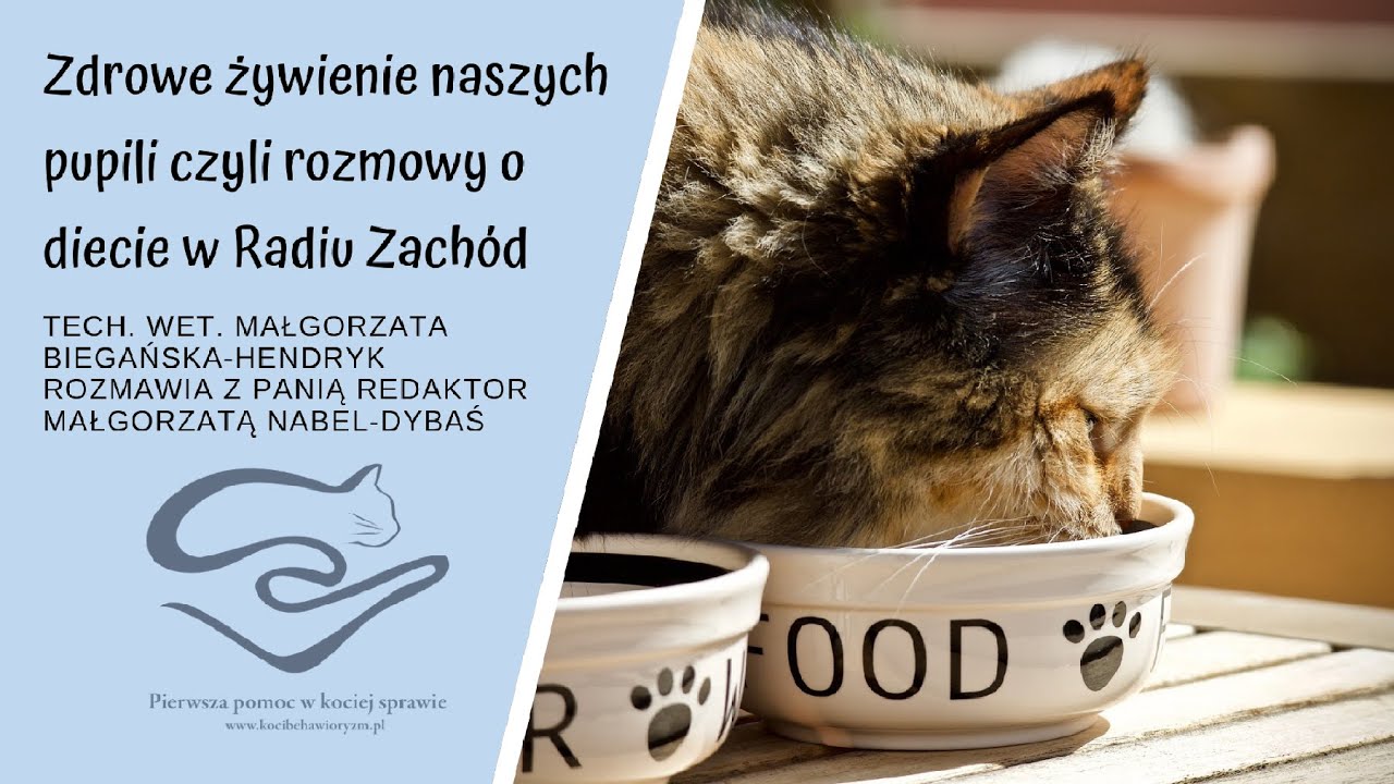 Dieta BARF w żywieniu kota - część 1 - audycja 