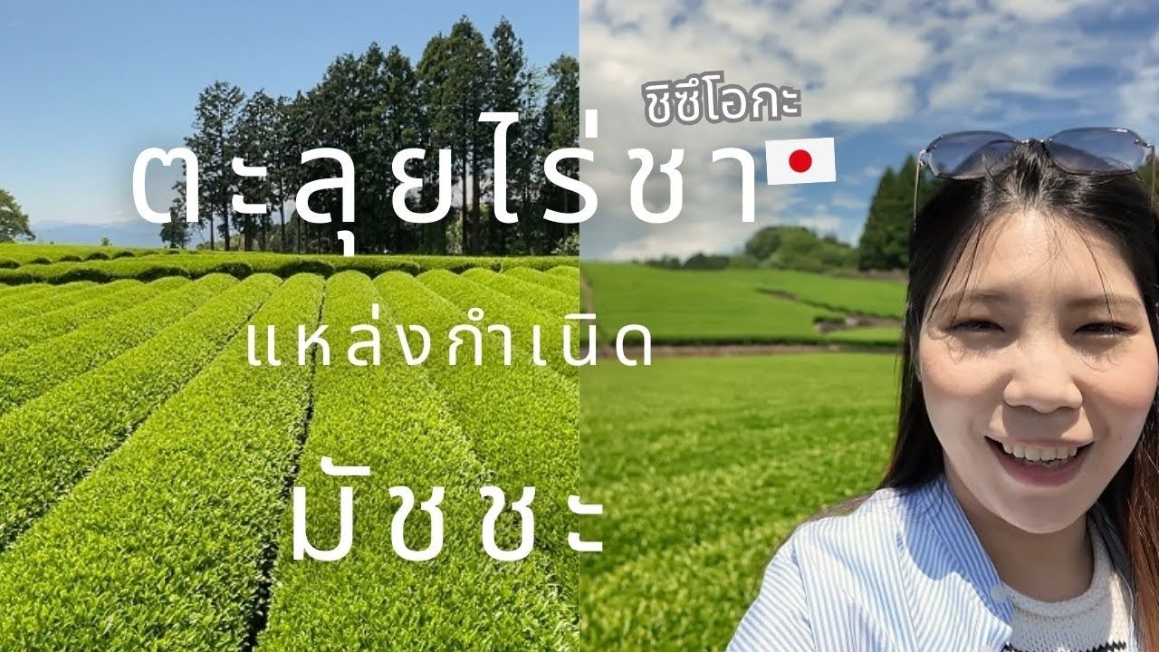 🇯🇵 Japan road trip เที่ยวไร่ชา จุดชมวิวยอดฮิตในเมืองชิซึโอกะ