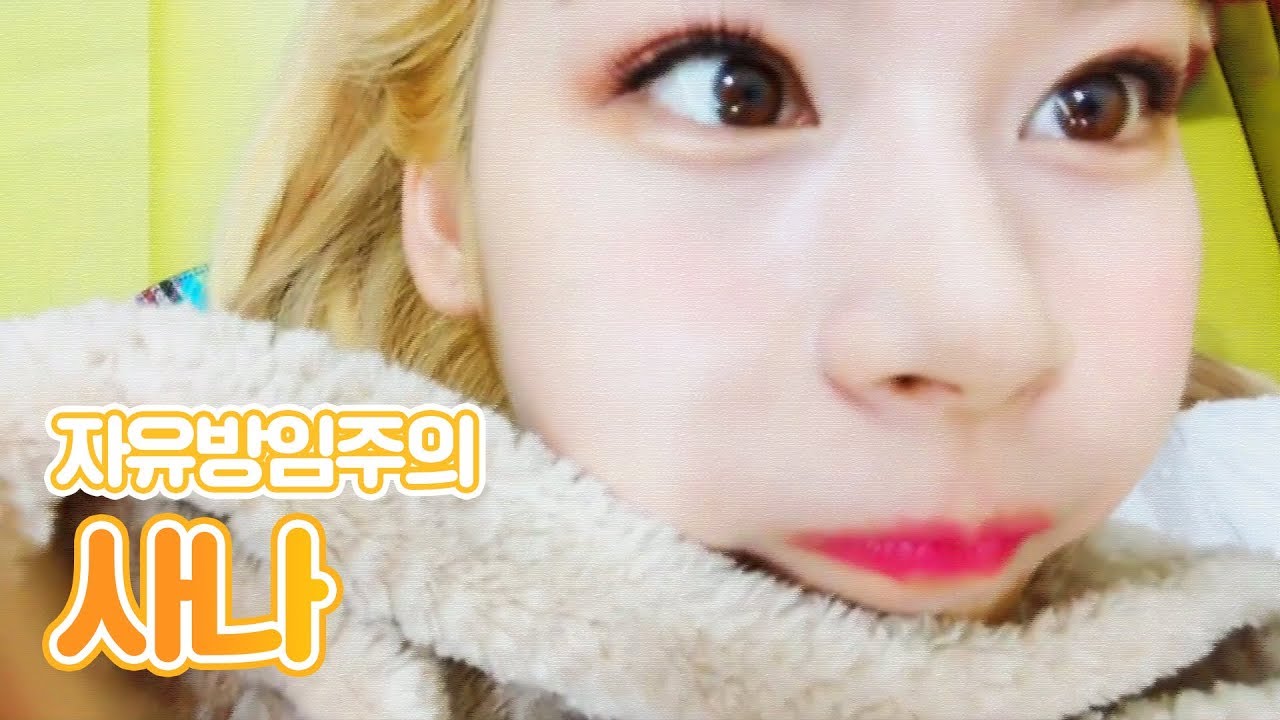 [트와이스 사나] 자유분방함을 극도로 추구하면 이런 멤버가 탄생합니다