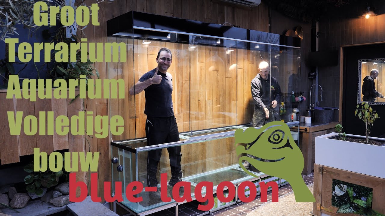 Groot Terrarium/Aquarium gehele bouw! | Blue-lagoon Maasluis