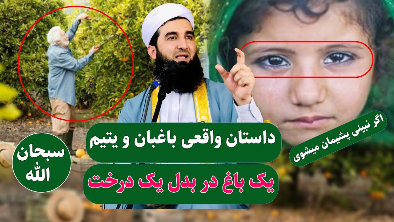 006/ داستان واقعی باغبان و یتیم اگر نبینی پشیمان میشوی/Mawlana Ahmad Firooz Ahmadi