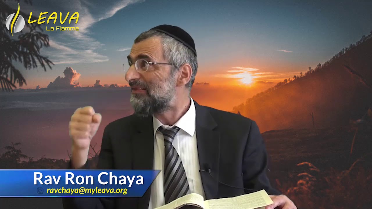 Le testament de Moïse ou le secret de la réussite - Rav Ron Chaya