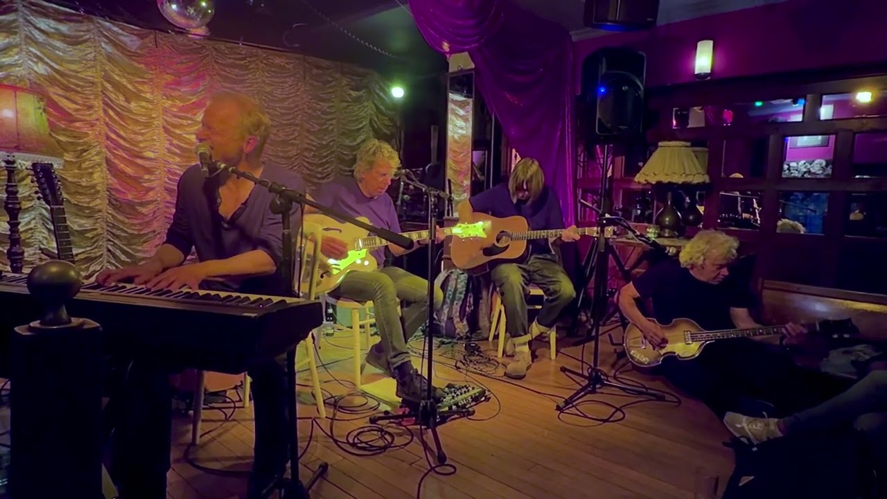 The Analogues Light - While My Guitar Gently Weeps -