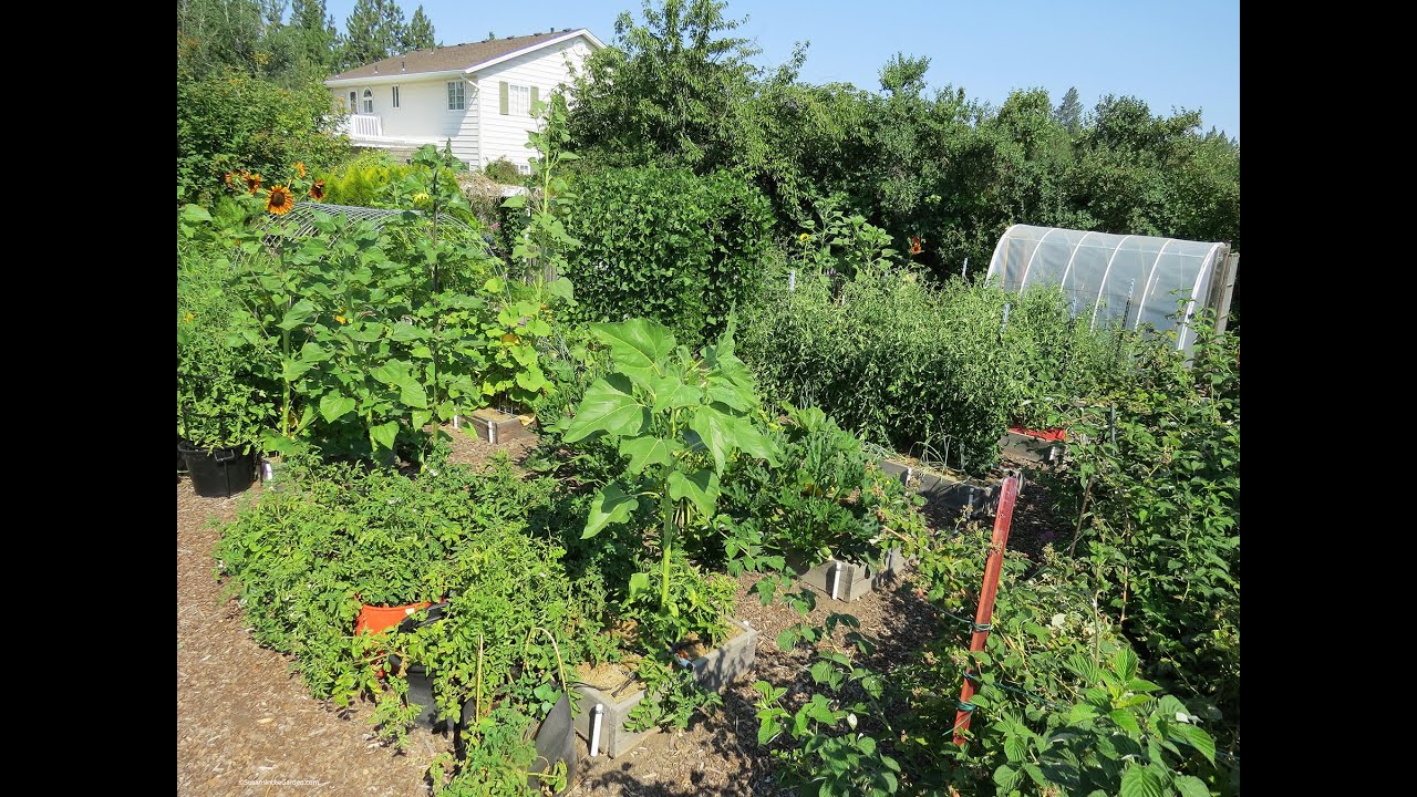 Raised Bed Gardening 101 (2025) #10