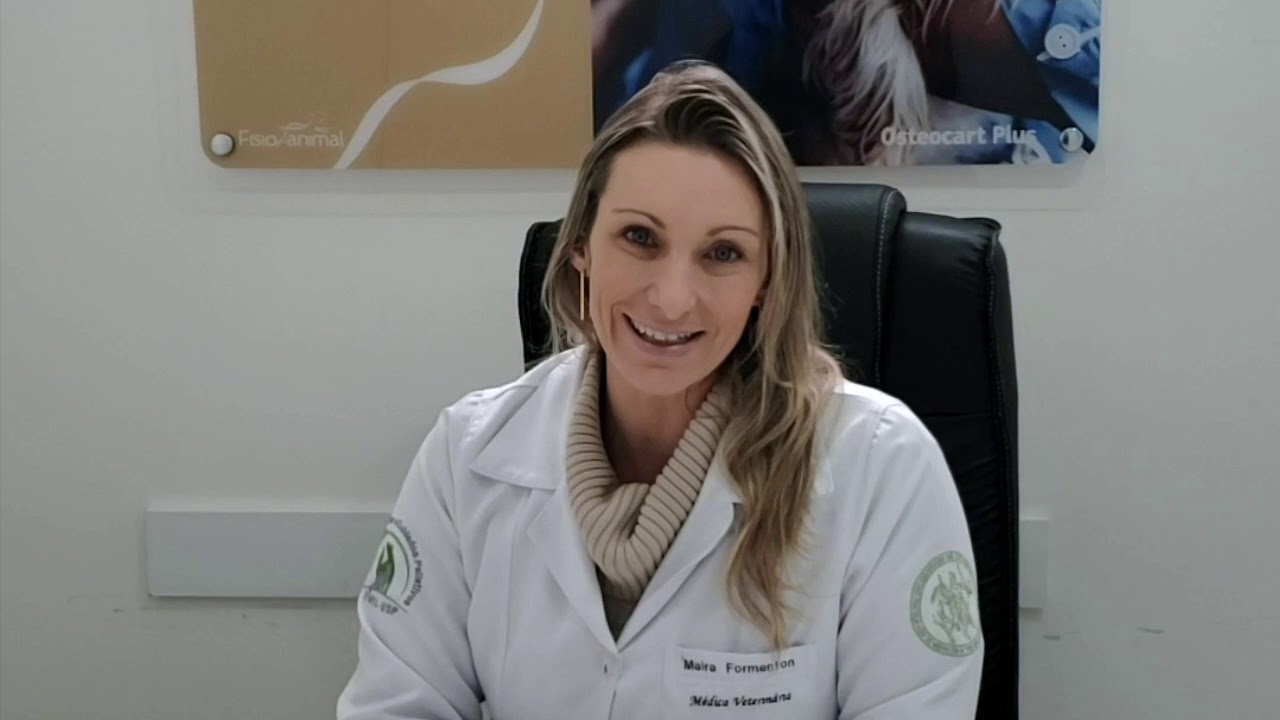 Dicas para cães com Displasia Coxofemoral www.fisioanimal.com