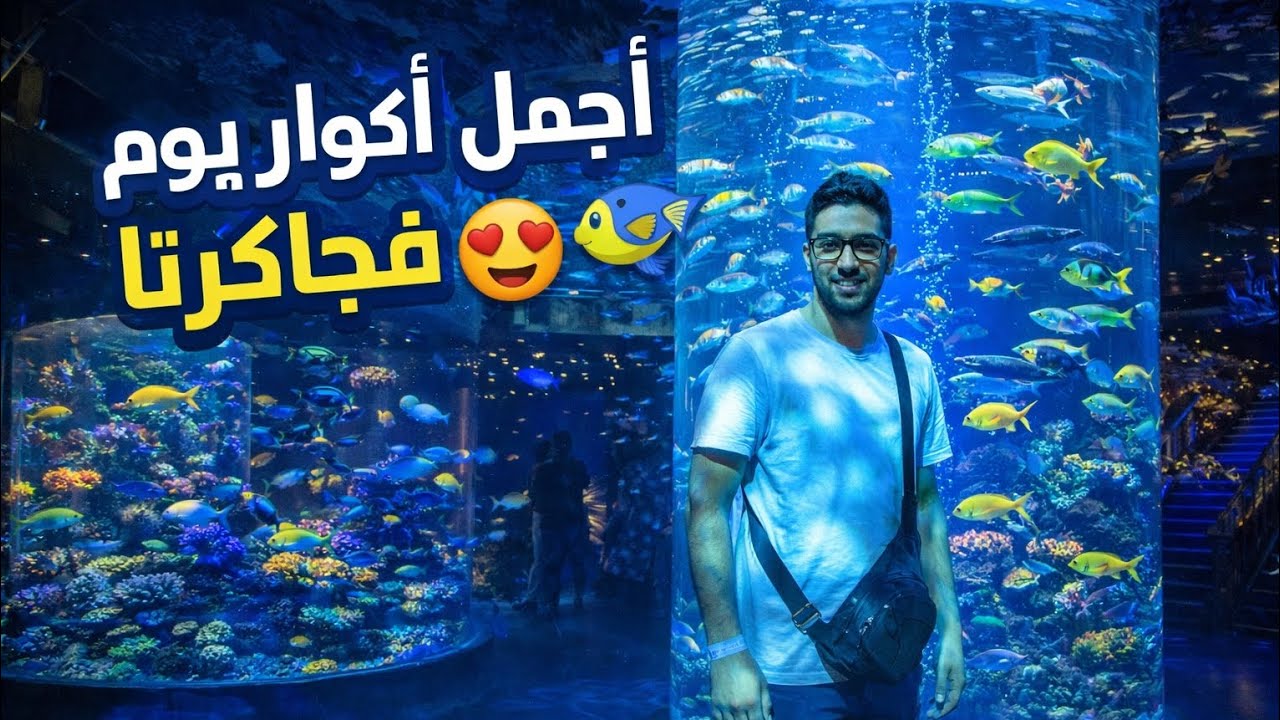 أكثر من 3500 نوع من الأسماك 😱  في أجمل أكواريوم فاندونيسيا 📍 Jakarta Aquarium & Safari  🐠🦈
