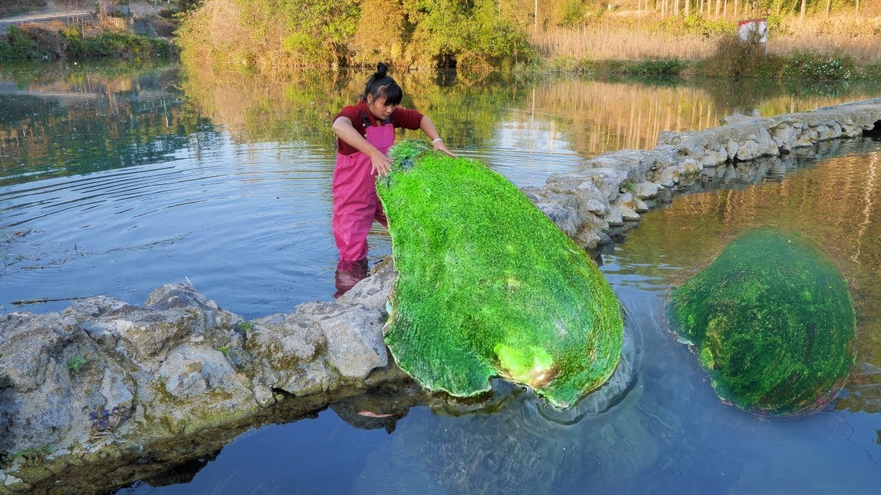 I caught a century old clam covered in moss, which contained the world's rare and top-notch pearls