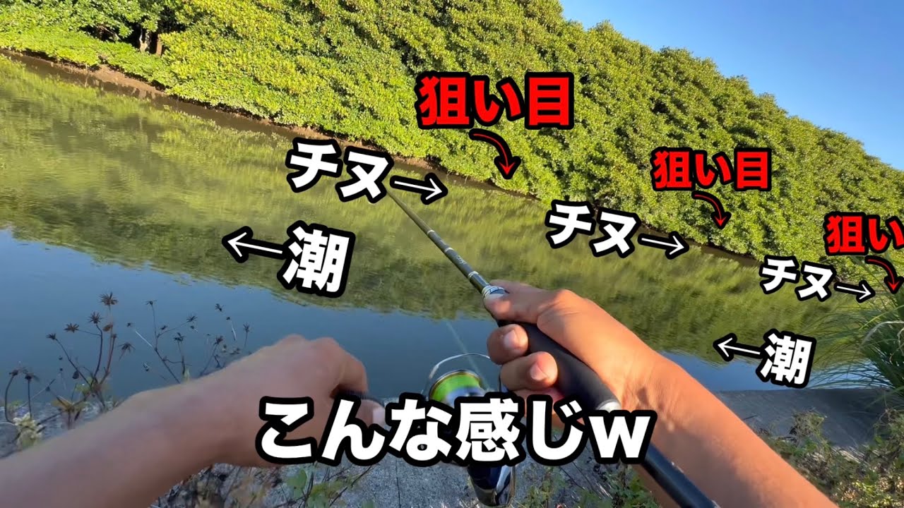 スレチヌの群れでも諦めなければ1匹は食ってくれる！#沖縄ルアーフィッシング #沖縄ライトゲーム #トップチヌ 