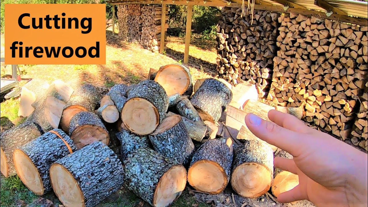 #220 Cutting firewood! Stihl MS170 and MS260PRO