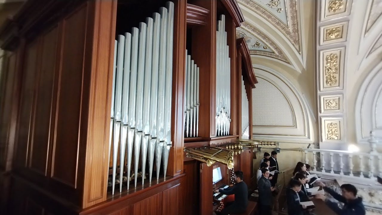 Señor ten piedad - Gloria (organista Daniel Romo, Director Aldo)