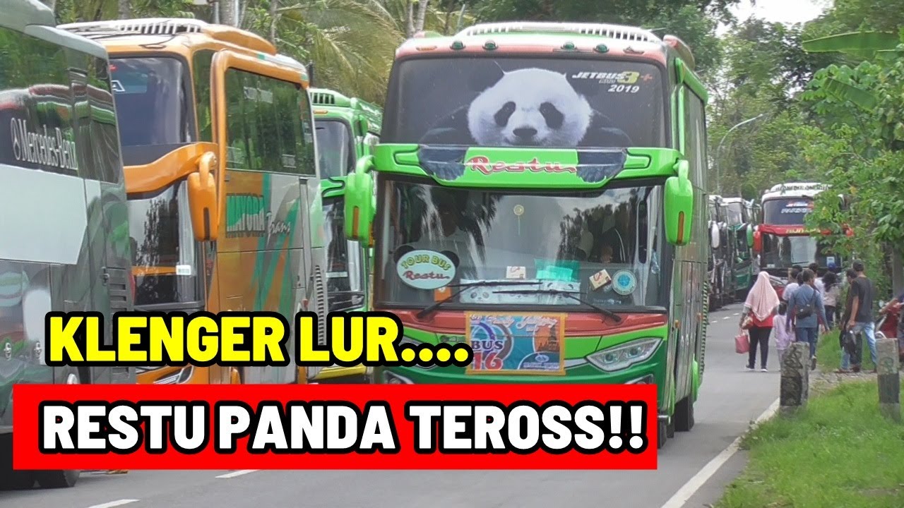 PANEN BUS PARIWISATA + KONVOI BUS RESTU PANDA JETBUS SHD 3+