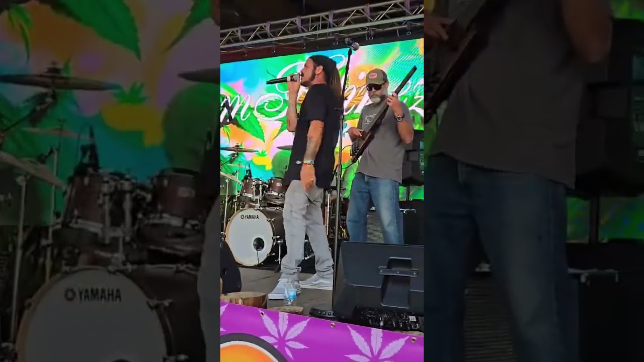 Root Sea at the Florida Cannabis Festival with Steve Martinez blazing the roots! #reggae