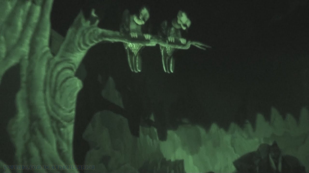 Snow Whites Scary Adventures Nightvision On-ride (Complete HD Experience) Magic Kingdom WDW