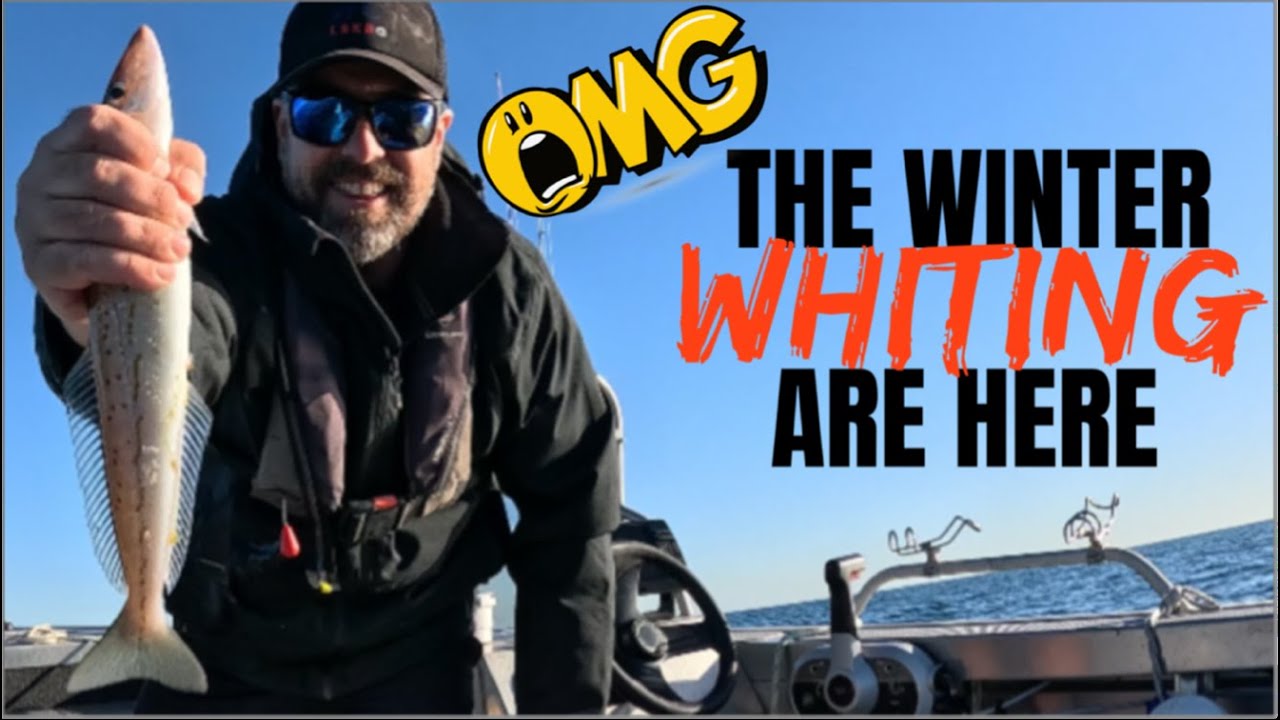 Big Winter Whiting Have Arrived, Fishing Off Metro Adelaide, South Australia